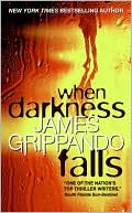 Book cover image of When Darkness Falls (Jack Swyteck Series #6) by James Grippando