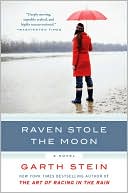 Book cover image of Raven Stole the Moon by Garth Stein