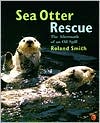 Book cover image of Sea Otter Rescue: The Aftermath of an Oil Spill by Roland Smith