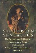James A. Secord: Victorian Sensation: The Extraordinary Publication, Reception, and Secret Authorship of Vestiges of the Natural History of Creation