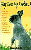 Book cover image of Why Does My Rabbit... ? by Anne McBride