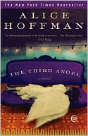 Book cover image of The Third Angel by Alice Hoffman