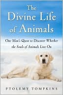 Book cover image of The Divine Life of Animals: One Man's Quest to Discover Whether the Souls of Animals Live On by Ptolemy Tompkins