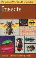 Book cover image of A Field Guide to Insects: America North of Mexico by Donald J. Borror