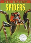 Book cover image of Spiders by Nic Bishop