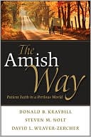 Book cover image of The Amish Way: Patient Faith in a Perilous World by Donald B. Kraybill