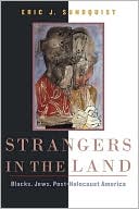 Book cover image of Strangers in the Land: Blacks, Jews, Post-Holocaust America by Eric J. Sundquist