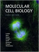 Book cover image of Molecular Cell Biology by Harvey Lodish