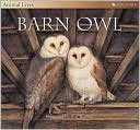 Sally Tagholm: Animal Lives: Barn Owl