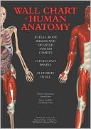 Thomas McCracken: Wall Chart of Human Anatomy: 3D Full-Body Images and Detailed System Charts