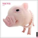 Book cover image of 2011 Pig, The Wall Calendar by Artlist