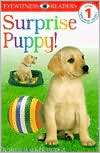 Judith Hodge: DK Readers: Surprise Puppy (Level 1: Beginning to Read)
