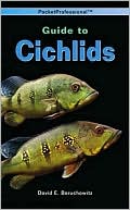 David E. Boruchowitz: A PocketProfessional Guide to Cichlids: A Complete Guide to the Identification, Care, and Husbandry of the Top 500 Most Accessible Cichlid Species