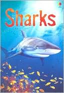 Catriona Clarke: Sharks: Information for Young Readers - Level 1