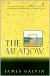 James Galvin: The Meadow