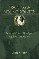 Joseph Healy: Training a Young Pointer: How the Experts Developed My Bird Dog and Me