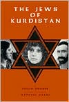 Book cover image of The Jews of Kurdistan by Erich Brauer