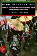 Book cover image of Guadalupe in New York: Devotion and the Struggle for Citizenship Rights among Mexican Immigrants by Alyshia Galvez