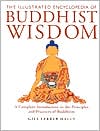 Gill Farrer-Halls: Illustrated Encyclopedia of Buddhist Wisdom: A Complete Introduction to the Principles and Practices of Buddhism