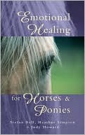 Judy Howard: Emotional Healing for Horses and Ponies