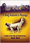 Steven Mulak: Brief Autumn's Passage