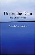 Book cover image of Under the Dam: And Other Stories by David Constantine