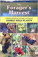 Samuel Thayer: The Forager's Harvest: A Guide to Identifying, Harvesting, and Preparing Edible Wild Plants