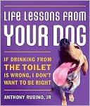Anthony Rubino: Life Lessons From Your Dog: If Drinking from the Toilet is Wrong, I Don't Want to be Right