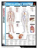 SparkNotes Editors: Circulatory System (SparkCharts)