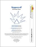 Book cover image of Steppenwolf (SparkNotes Literature Guide Series) by Hermann Hesse