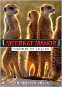 Book cover image of Meerkat Manor: Flower of the Kalahari by Tim Clutton-brock