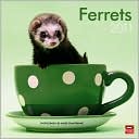 BrownTrout Publishers: 2011 Ferrets Square Wall Calendar