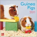 Book cover image of 2011 Guinea Pigs Square Wall Calendar by BrownTrout Publishers