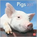 Book cover image of 2011 Pigs Square Wall Calendar by BrownTrout Publishers