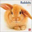 Book cover image of 2011 Rabbits Square Wall Calendar by BrownTrout Publishers