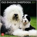 BrownTrout Publishers: 2011 Old English Sheepdogs Square Wall Calendar