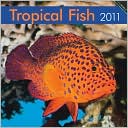 BrownTrout Publishers: 2011 Tropical Fish Square Wall Calendar
