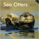 BrownTrout Publishers: 2011 Sea Otters Square Wall Calendar