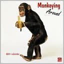 Book cover image of 2011 Monkeying Around Square Wall Calendar by BrownTrout Publishers