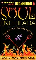 Book cover image of Soul Enchilada by David Macinnis Gill
