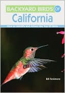 Bill Fenimore: Backyard Birds of California: How to Identify and Attract the Top 25 Birds