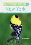 Bill Fenimore: Backyard Birds of New York: How to Identify and Attract the Top 25 Birds