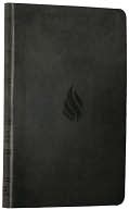 Book cover image of Value Thinline Bible-ESV-Flame by Crossway Bibles