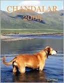 Book cover image of Chandalar 2005 by Dickie Byrd