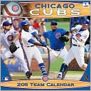 PERFECT TIMING, INC.: 2011 Chicago Cubs Mini Wall