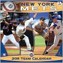 PERFECT TIMING, INC.: 2011 New York Mets Mini Wall