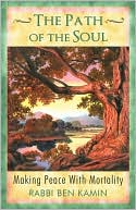 Book cover image of The Path of the Soul by Rabbi Ben Kamin