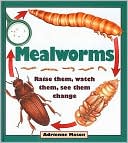 Adrienne Mason: Mealworms: Raise Them, Watch Them, See Them Change