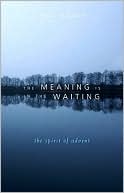 Book cover image of The Meaning is in the Waiting: The Spirit of Advent by Paula Gooder