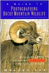 Book cover image of A Guide to Photographing Rocky Mountain Wildlife by Weldon Lee
